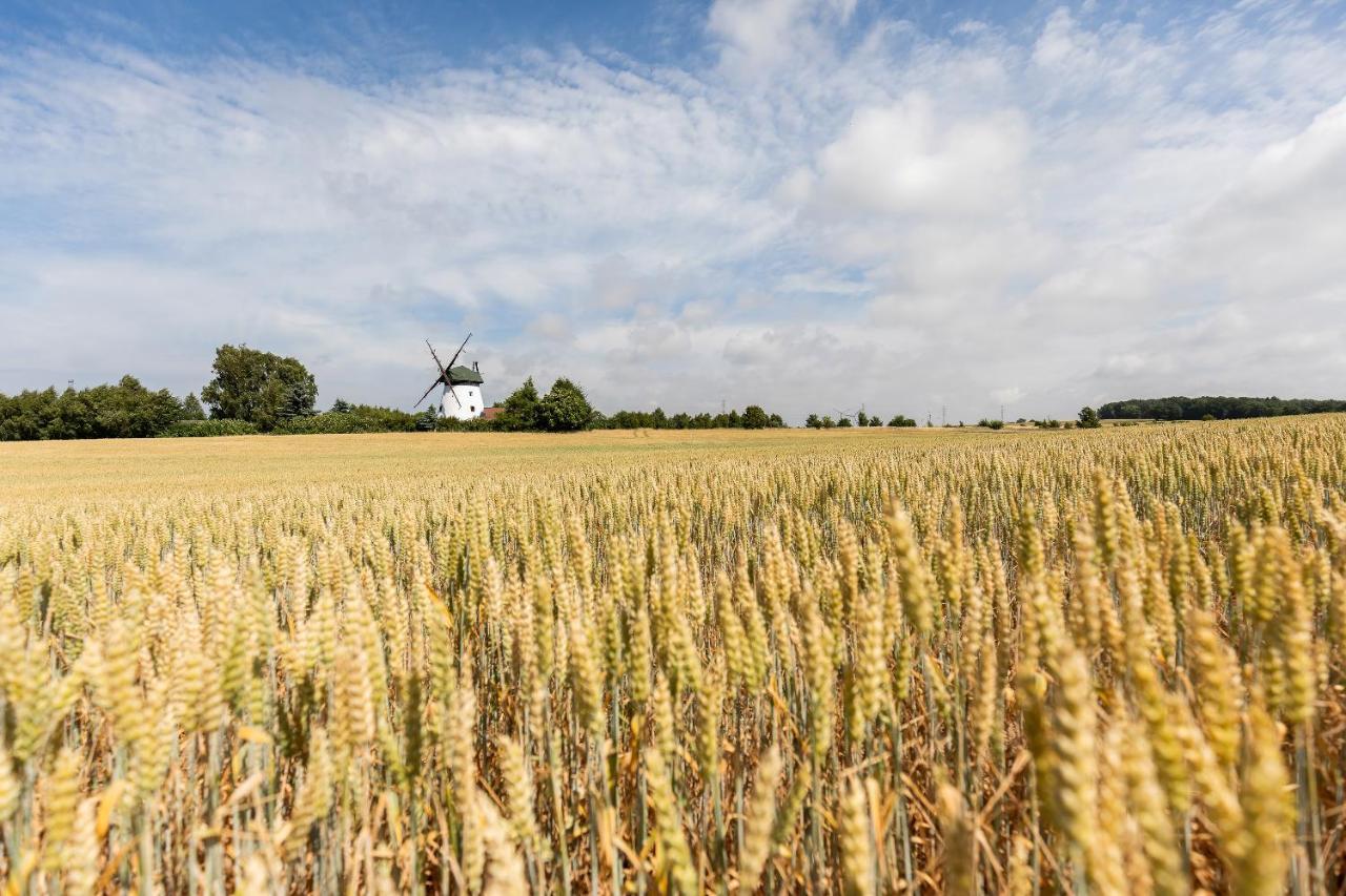Windmill Vacation Home In Ledzin Near Baltic Sea Нєхоже Екстер'єр фото