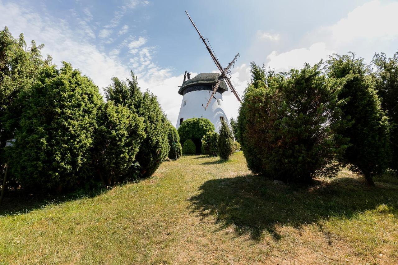 Windmill Vacation Home In Ledzin Near Baltic Sea Нєхоже Екстер'єр фото