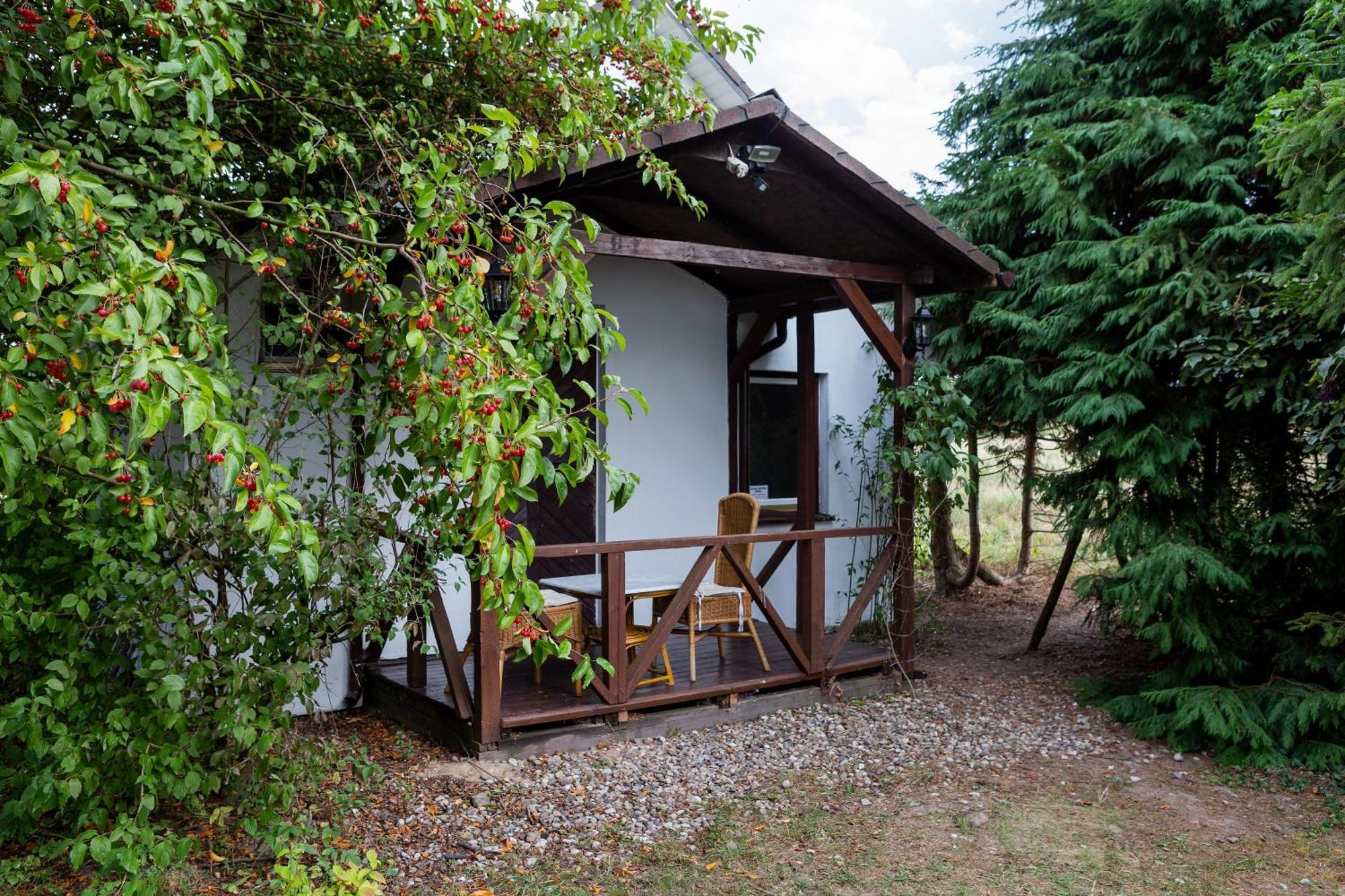 Windmill Vacation Home In Ledzin Near Baltic Sea Нєхоже Номер фото