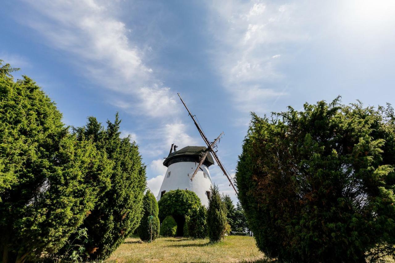 Windmill Vacation Home In Ledzin Near Baltic Sea Нєхоже Екстер'єр фото