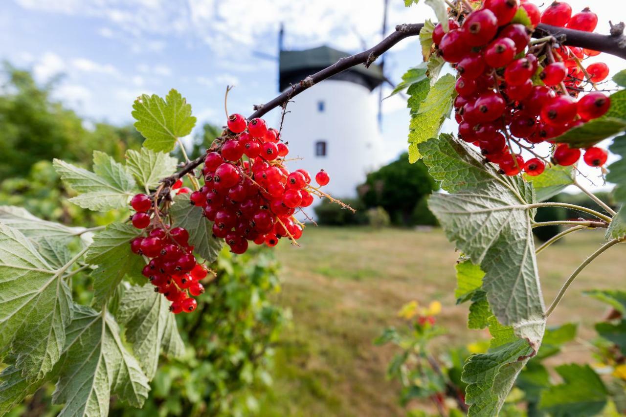 Windmill Vacation Home In Ledzin Near Baltic Sea Нєхоже Екстер'єр фото