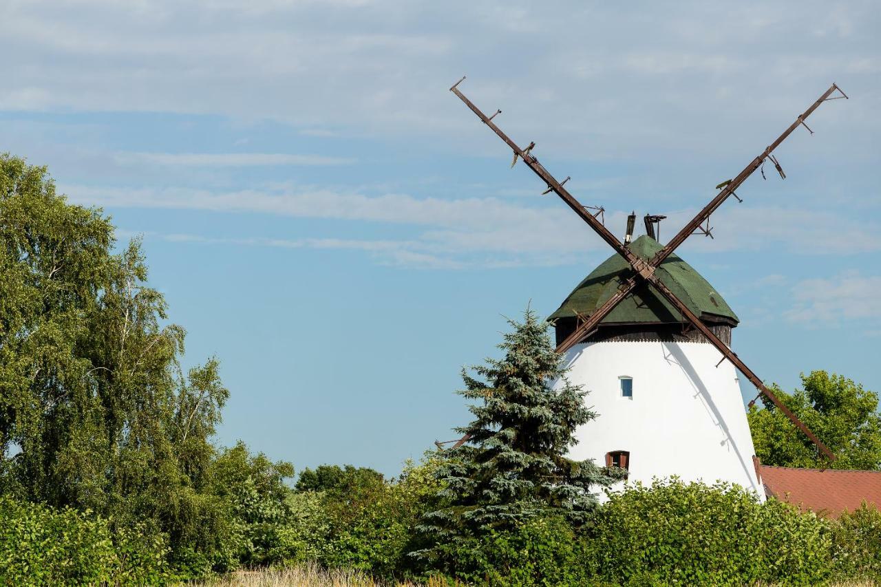 Windmill Vacation Home In Ledzin Near Baltic Sea Нєхоже Екстер'єр фото