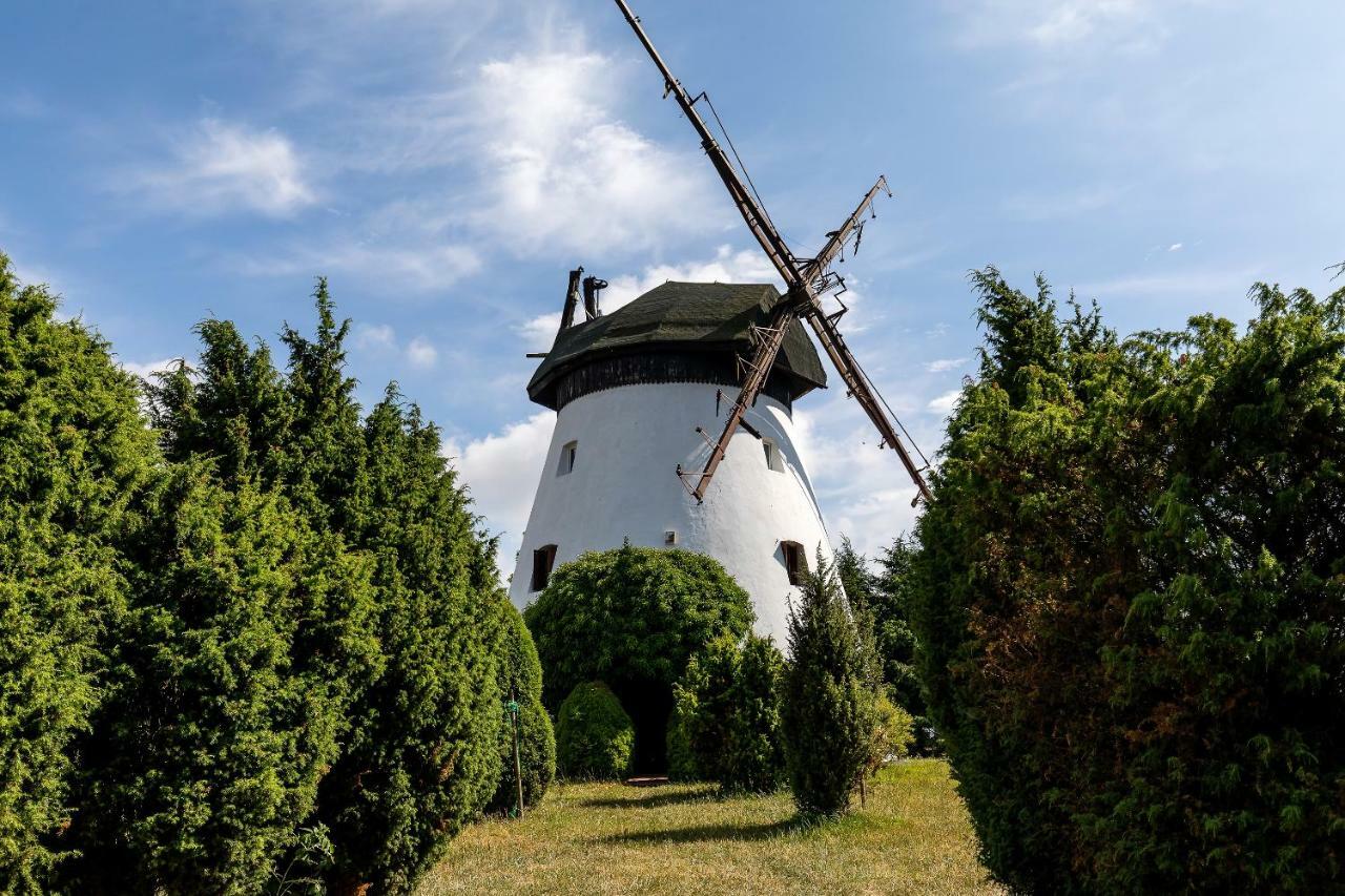 Windmill Vacation Home In Ledzin Near Baltic Sea Нєхоже Екстер'єр фото