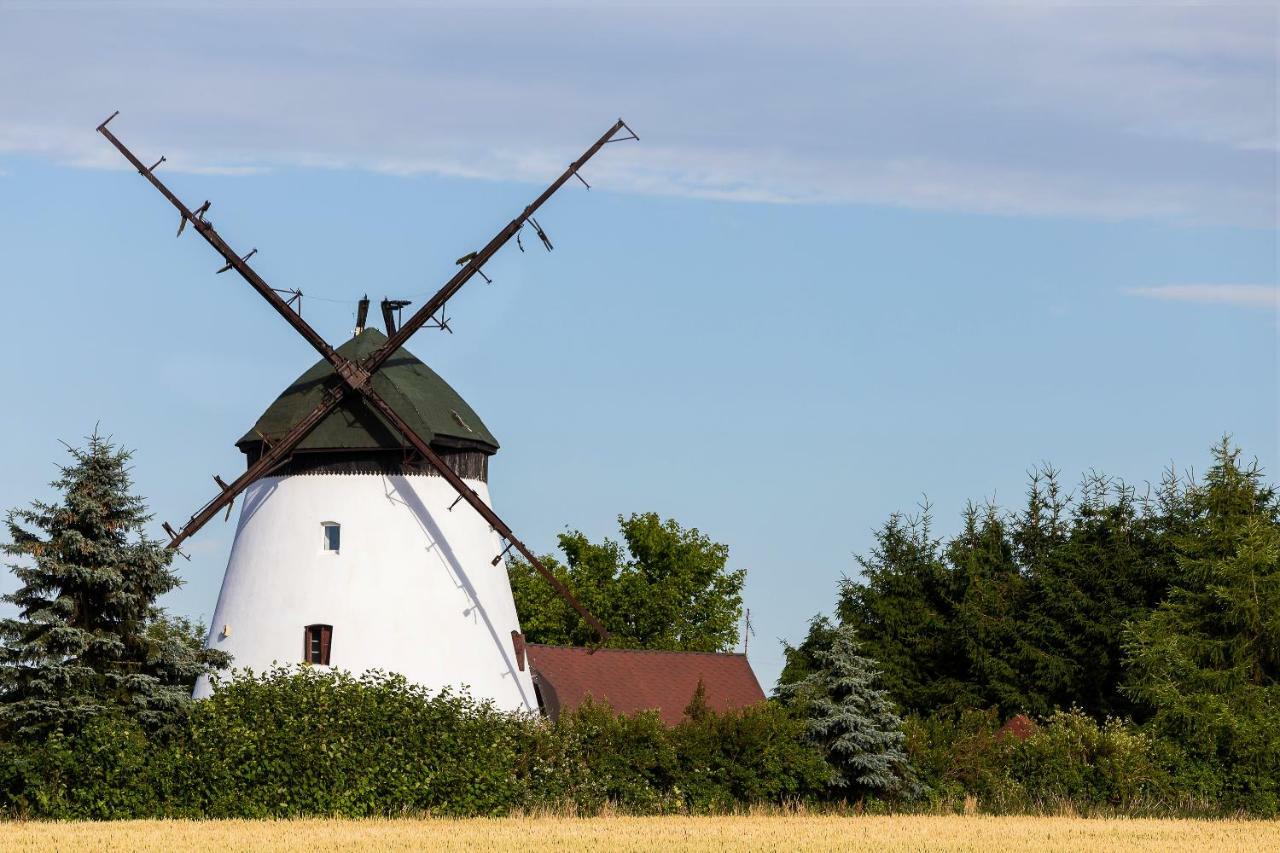 Windmill Vacation Home In Ledzin Near Baltic Sea Нєхоже Екстер'єр фото