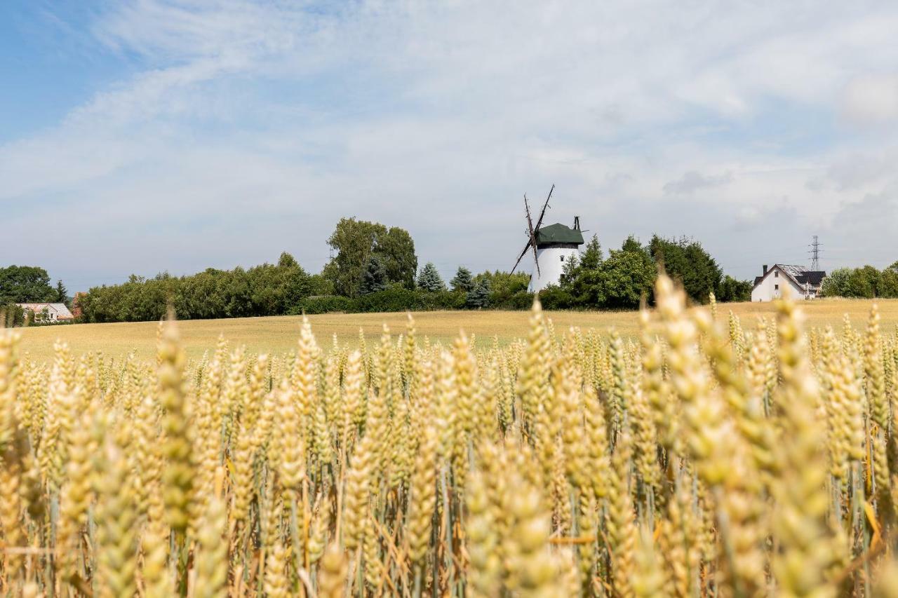 Windmill Vacation Home In Ledzin Near Baltic Sea Нєхоже Екстер'єр фото