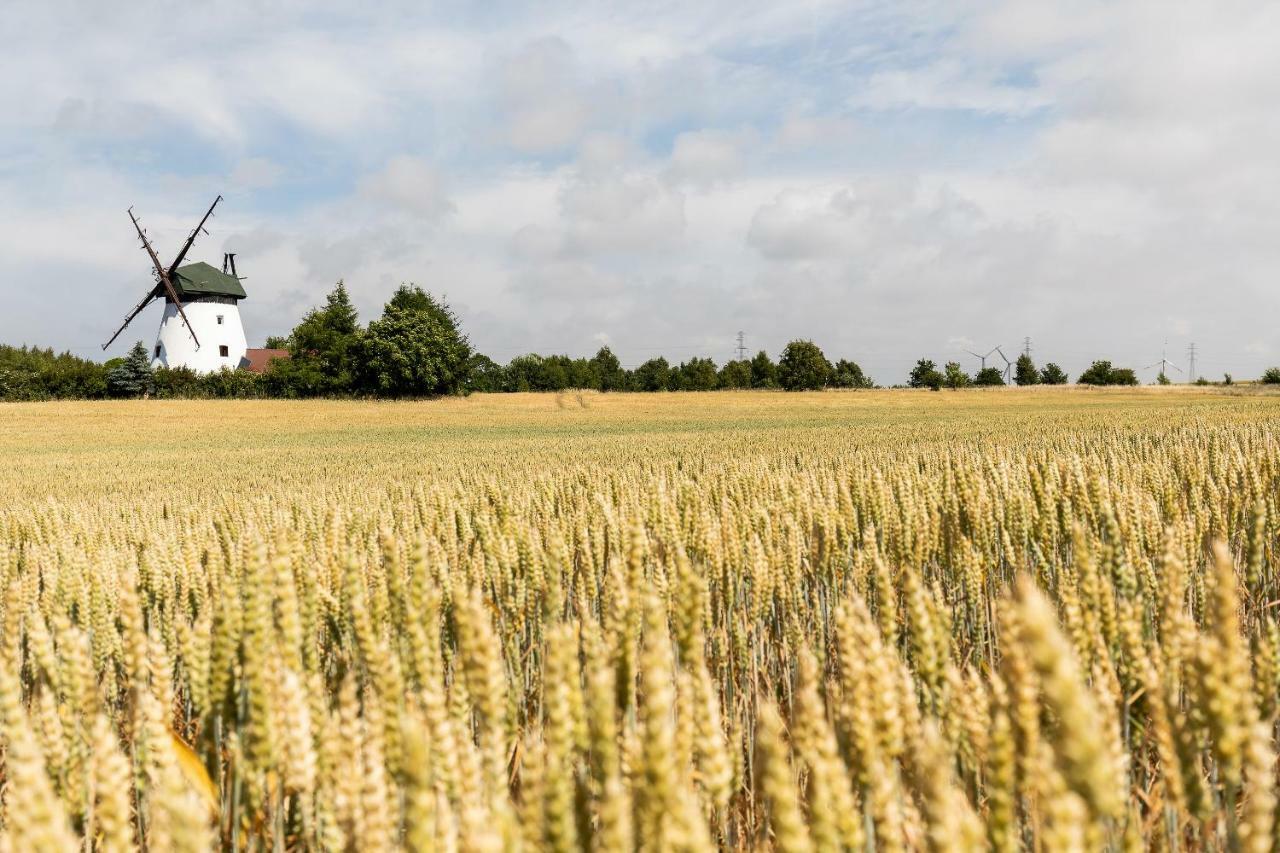 Windmill Vacation Home In Ledzin Near Baltic Sea Нєхоже Екстер'єр фото