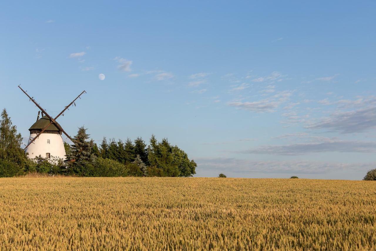 Windmill Vacation Home In Ledzin Near Baltic Sea Нєхоже Екстер'єр фото