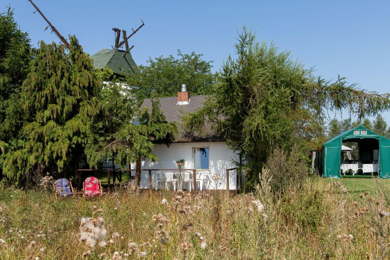 Windmill Vacation Home In Ledzin Near Baltic Sea Нєхоже Екстер'єр фото
